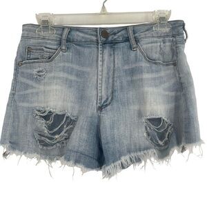 Articles of Society Distressed Denim Shorts Size 27 Summer Jean Shorts